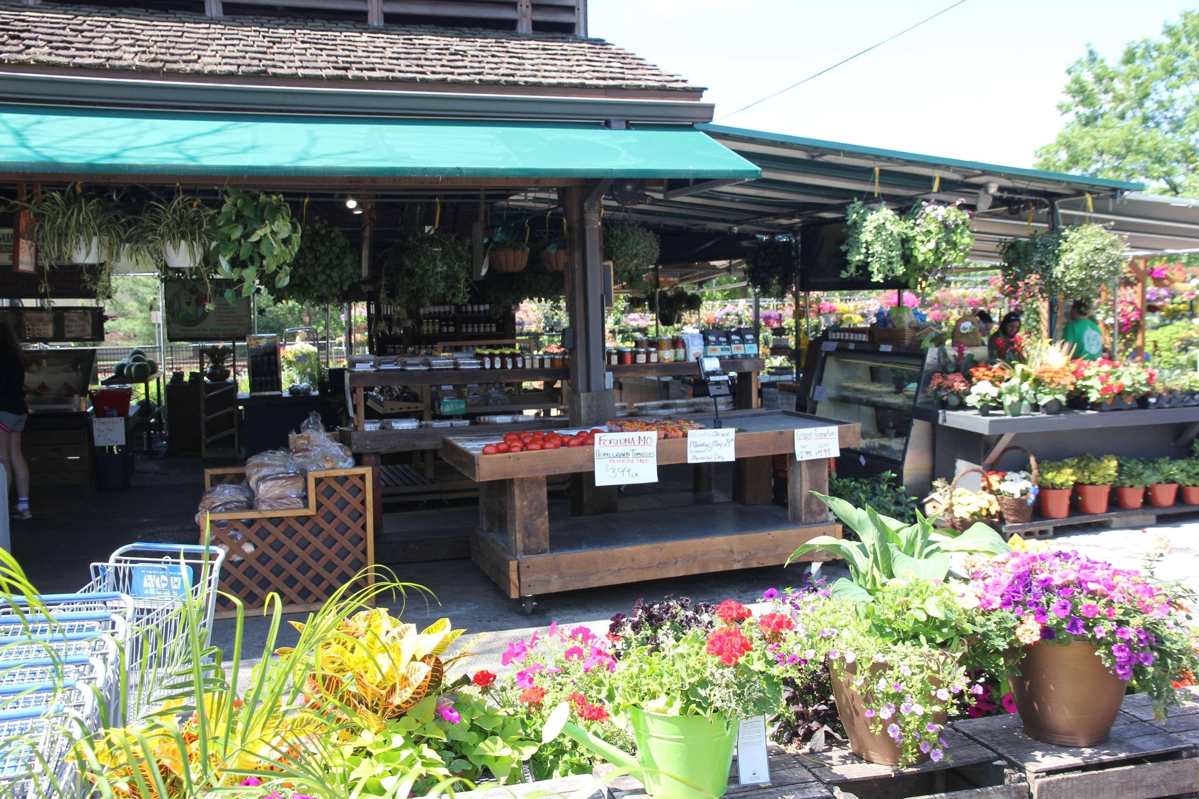 เบสต์ เวสเทิร์น เคิร์กวูด อินน์ Windsor Springs ภายนอก รูปภาพ